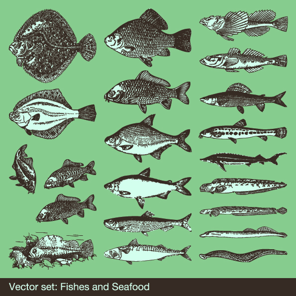 free vector Big fish vector